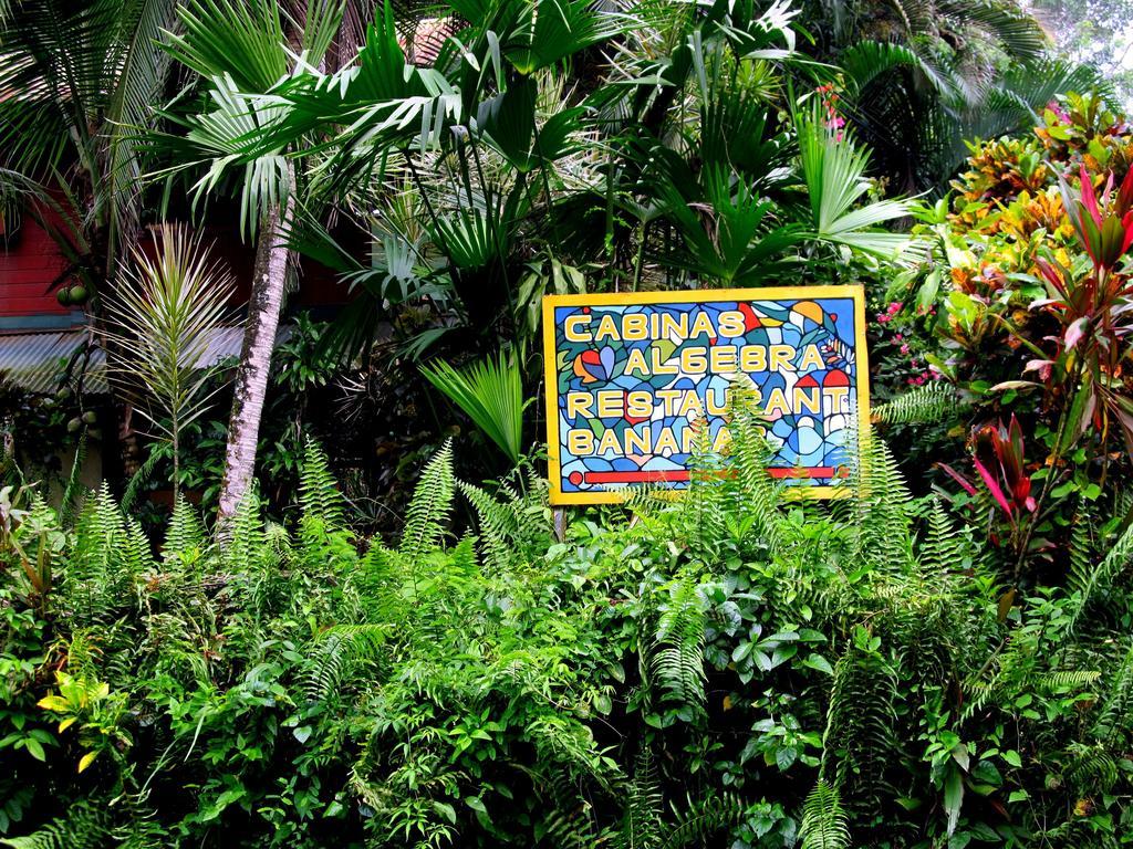 Cabinas Algebra Cahuita Buitenkant foto