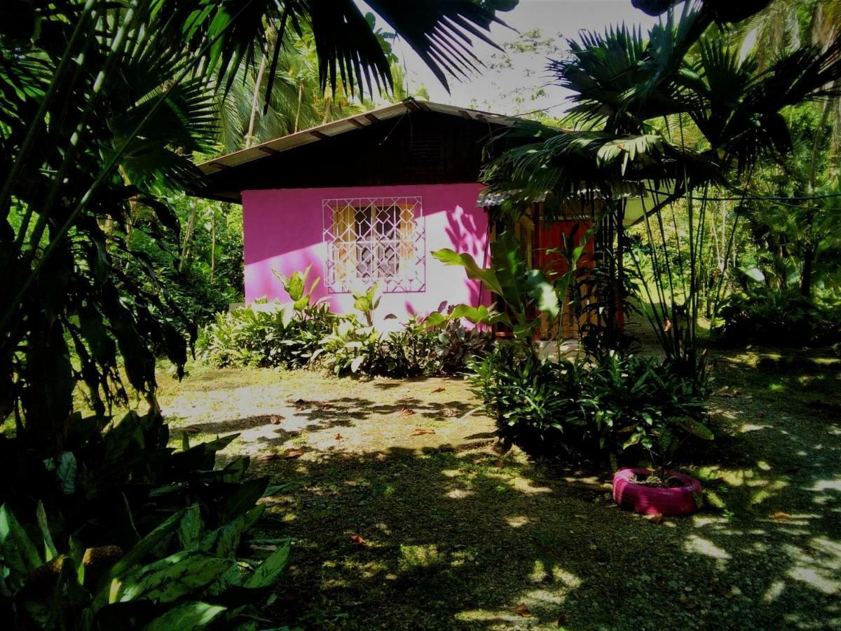 Cabinas Algebra Cahuita Buitenkant foto