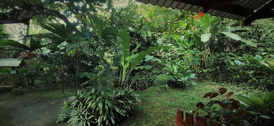 Cabinas Algebra Cahuita Buitenkant foto