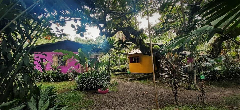 Cabinas Algebra Hostel Cahuita Buitenkant foto